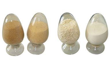 China Alginato de sódio (alimentos/indústria/farmácia) fornecedor
