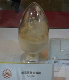 China extrato de algas marrons fucoidan fornecedor