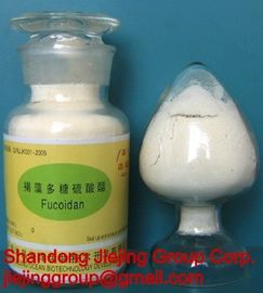 China Fucoidan, algas marrons fornecedor