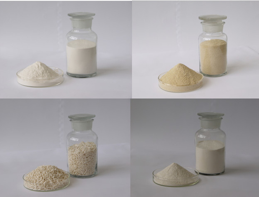 China Alginato de Sódio para as Indústrias Alimentícia e Farmacêutica fornecedor