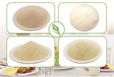 China Goma Xantana em Sorvete, Goma Xantana Grau Alimentício fornecedor