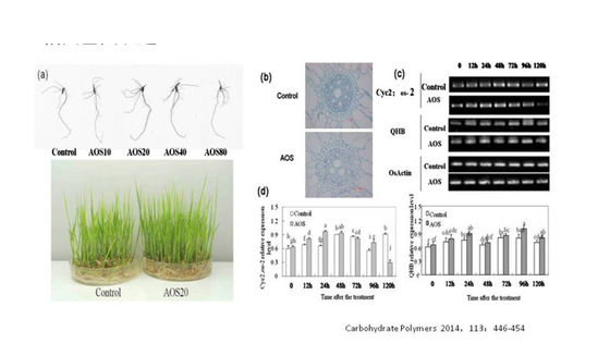 China Oligossacarídeos alginados fornecedor