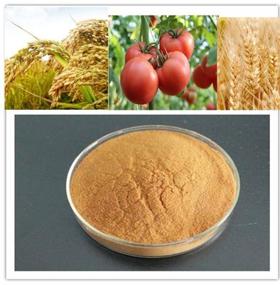 China Oligossacarídeo de quitosana para plantas fornecedor