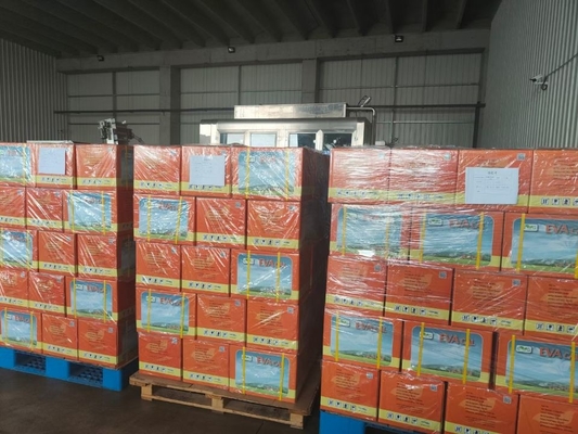 China Produtos fertilizantes de extrato de algas marinhas fornecedor