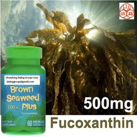 extrato de algas marinhas laminaria japonica fucoxantina 1% óleo, pó CAS n.o 3351-86-8 de alta pureza fornecedor