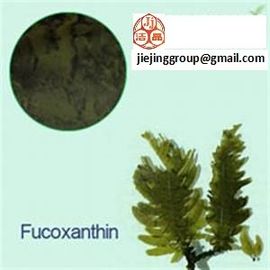 fucoxantina 1% 5% óleo, extrato de Undaria pinnatifida harvey (alga wakame) fornecedor