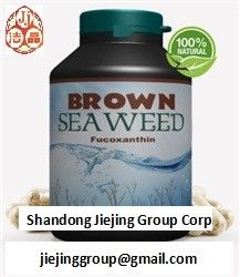 Extrato natural de alga marinha castanha wakame fucoxantina 1%, 5%, 10% 20% ingredientes em pó fornecedor