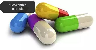 Fucoxantina 3353-86-8: Ingrediente alimentar para prevenção da síndrome metabólica, antioxidante e cosméticos fornecedor