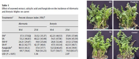 oligossacarídeos de alginato para agricultura como fertilizantes vegetais, bioestimulantes agrícolas fornecedor