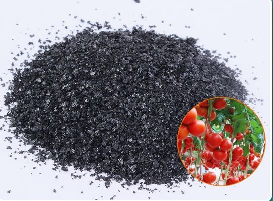Extrato de algas Ácido algínico Fertilizante de algas concentrado Fertilizante de algas solúvel em água Extrato de algas fornecedor
