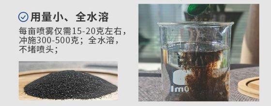 fertilizante de extrato de Ascophyllum nodosum fornecedor