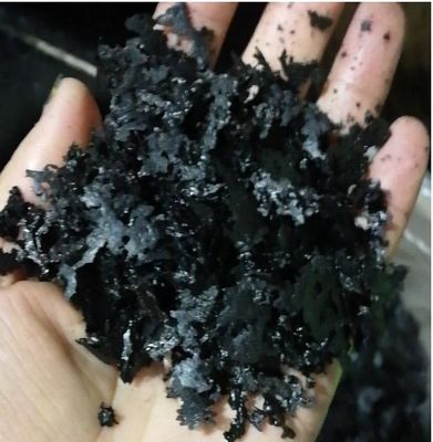 Flocos de extrato de algas marinhas solúveis fornecedor