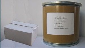 Extracto de fucoidano de algas marrom fornecedor