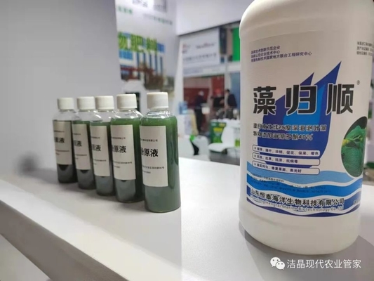 extrato de algas marinhas como bioestimulante fornecedor
