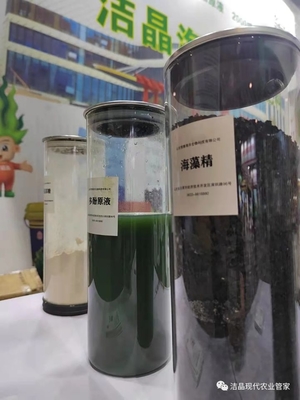 extrato de algas marinhas como bioestimulante fornecedor